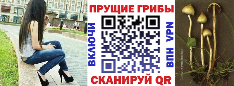 Псилоцибиновые грибы MAGIC MUSHROOMS  Ипатово 